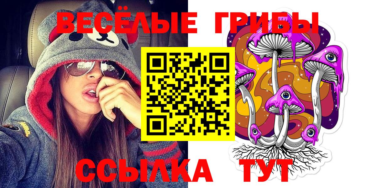 Галлюциногенные грибы мухоморы Буйнакск